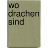 Wo Drachen sind door James A. Owen