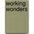 Working Wonders