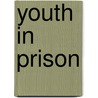 Youth in Prison door M.A. Bortner