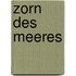 Zorn des Meeres