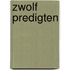 Zwolf Predigten