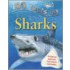 100 Facts Sharks