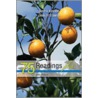 75 Readings Plus by Santi V. Buscemi