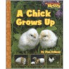 A Chick Grows Up by Pam Zollman