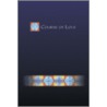 A Course of Love door Marie Perron