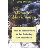 Wondermeridianen door Guus Martens