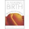A Pleasing Birth by Raymond de Vries
