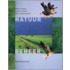 Natuurbeheer