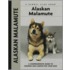 Alaskan Malamute