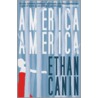 America, America door Ethan Canin