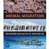 Animal Migration