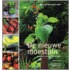 De nieuwe moestuin