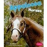 Appaloosa Horses door Kim O'Brien