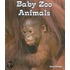 Baby Zoo Animals