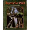 Bayerischer Wald by Klaus Möller