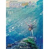 Beauty Will Rise door Steven Curtis Chapman
