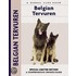 Belgian Tervuren