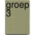 Groep 3 