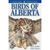 Birds Of Alberta