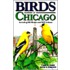 Birds Of Chicago