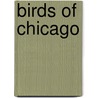 Birds Of Chicago by David Johnson