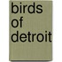 Birds Of Detroit