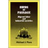 Birds of Passage door Michael J. Piore