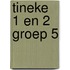 Tineke 1 en 2 groep 5