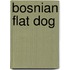 Bosnian Flat Dog