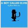 Boy Called Elvis door Peter Robinson
