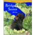 Bridget's Secret