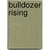 Bulldozer Rising