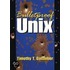 Bulletproof Unix