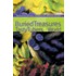 Buried Treasures