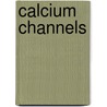 Calcium Channels door L. Donald Partridge