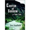 Canyon Of Sorrow by Jim Hatfield