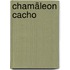 Chamäleon Cacho