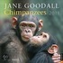 Chimpanzees 2011