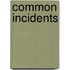 Common Incidents