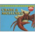 Crabs & Mollusks