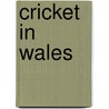 Cricket In Wales door Andrew Hignell