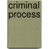 Criminal Process