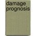 Damage Prognosis