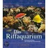 Das Riffaquarium