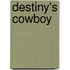 Destiny's Cowboy