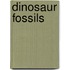 Dinosaur Fossils
