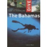 Dive the Bahamas by Lawson Wood
