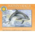 Dolphin's Rescue