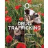 Drug Trafficking