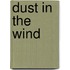 Dust In The Wind